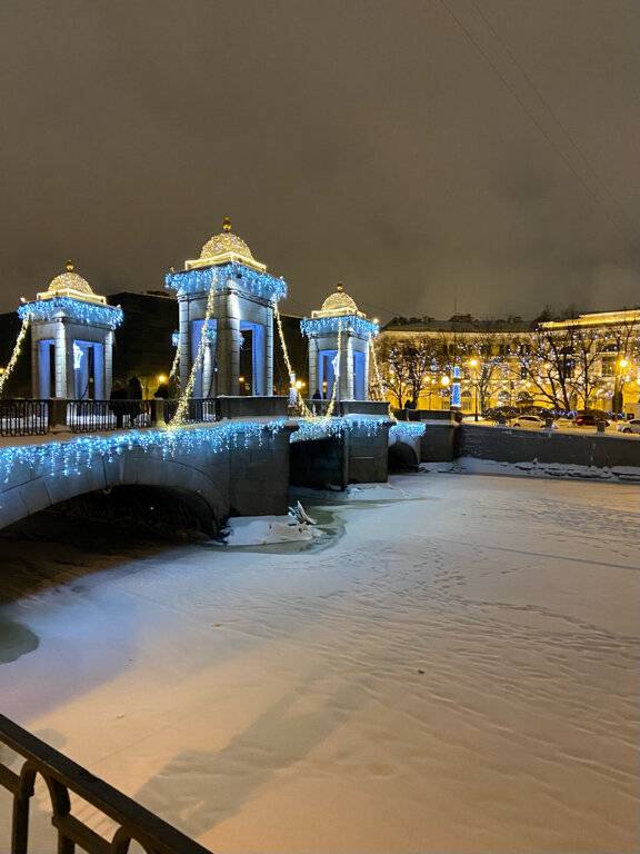 Фото Гостиницы Росси Санкт-Петербург 101