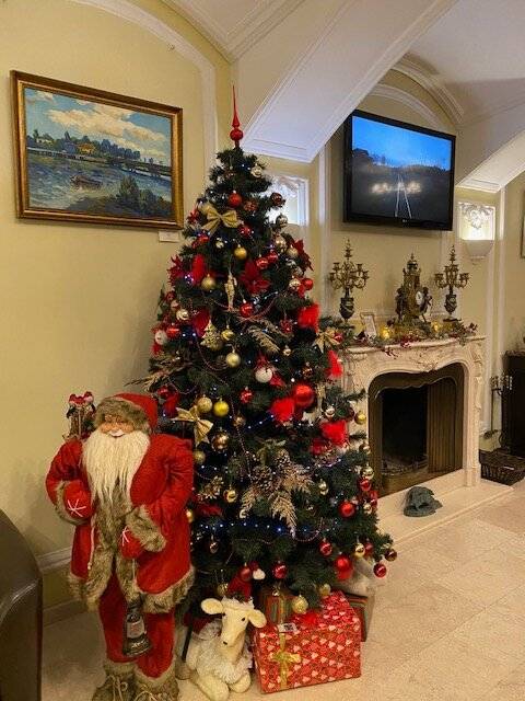 Фото Гостиницы Росси Санкт-Петербург 60