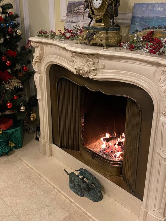 Фото Гостиницы Росси Санкт-Петербург 103