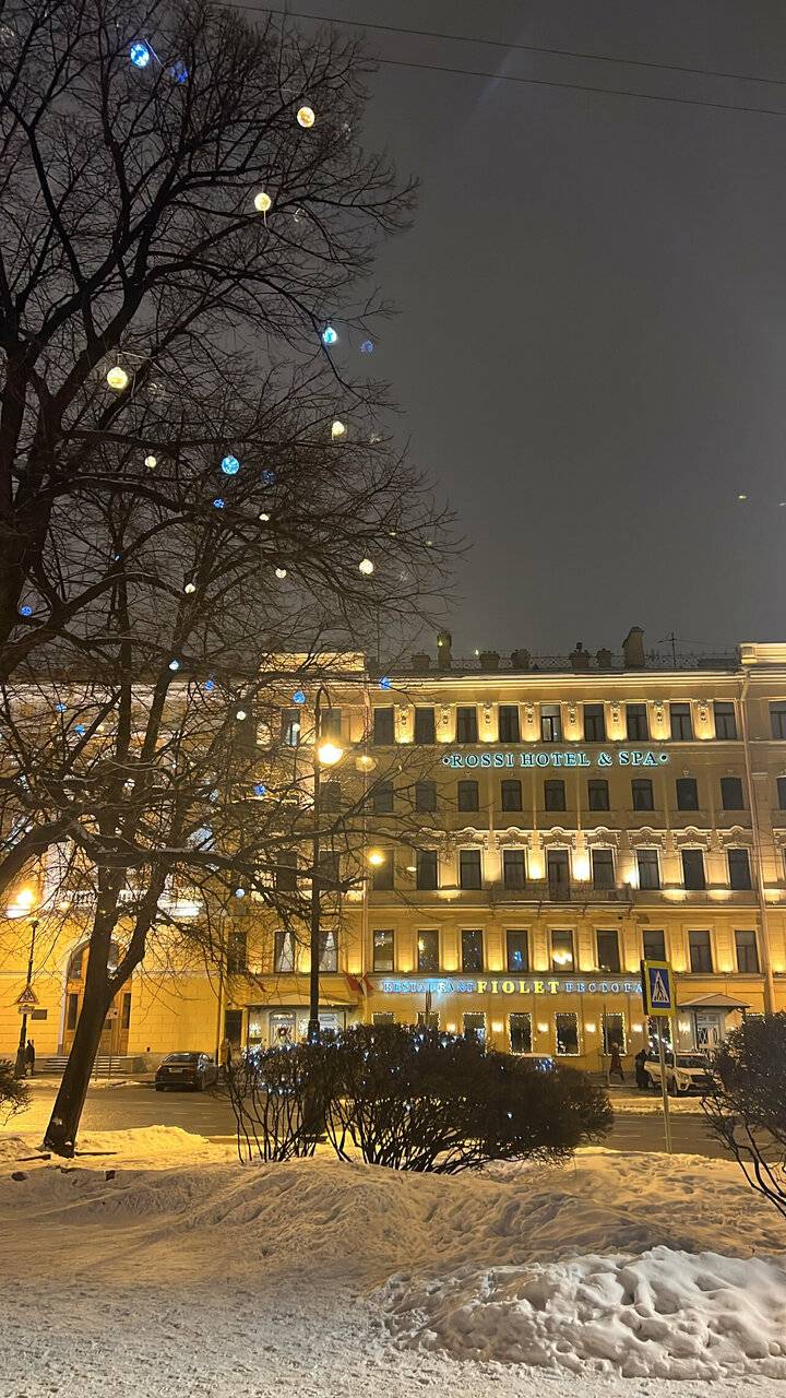 Фото Гостиницы Росси Санкт-Петербург 191